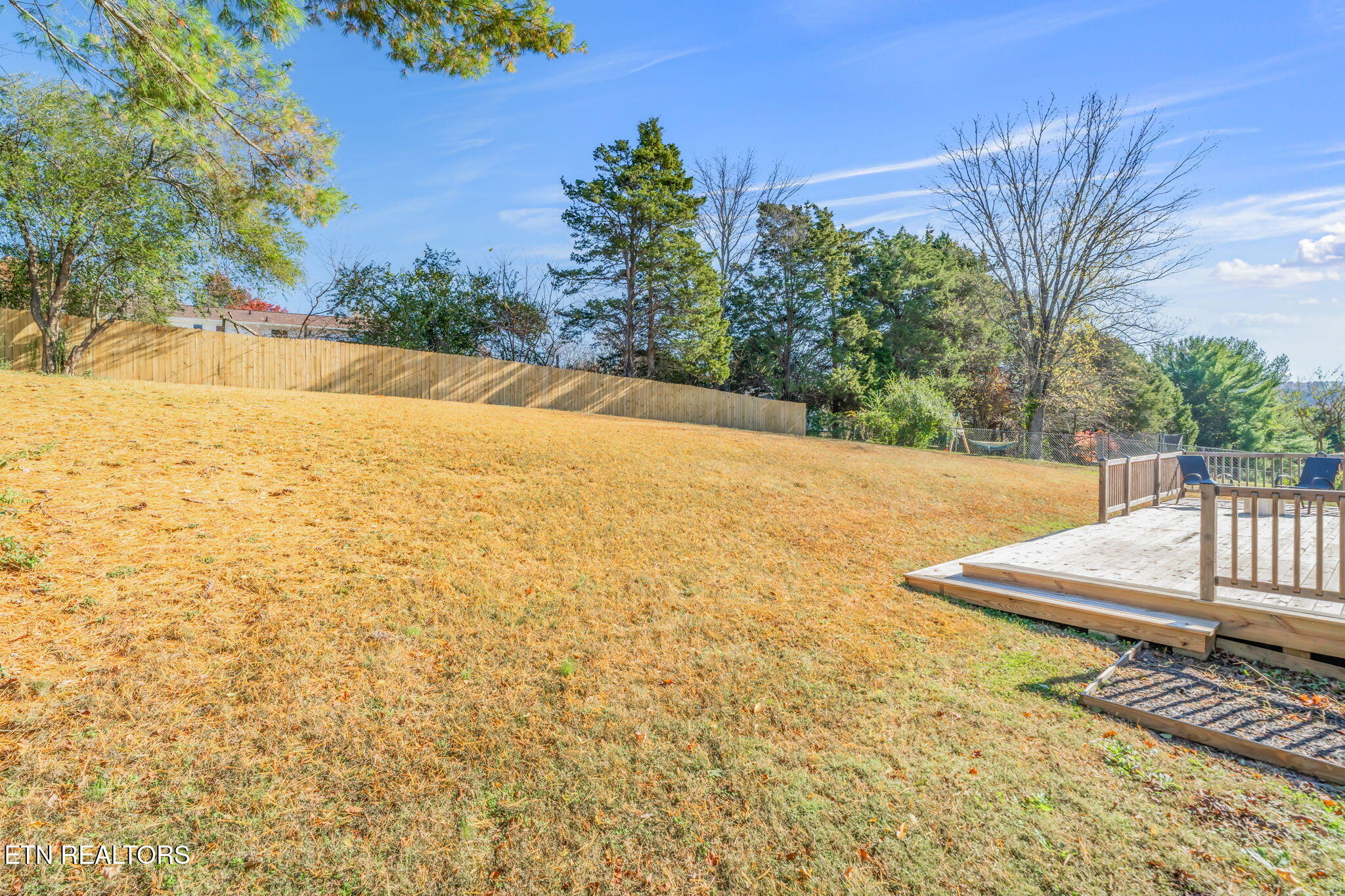 7620 Cedarcrest Road Knoxville, TN 37938 - Photo 40 of 53 Huge Grassy Backyard
