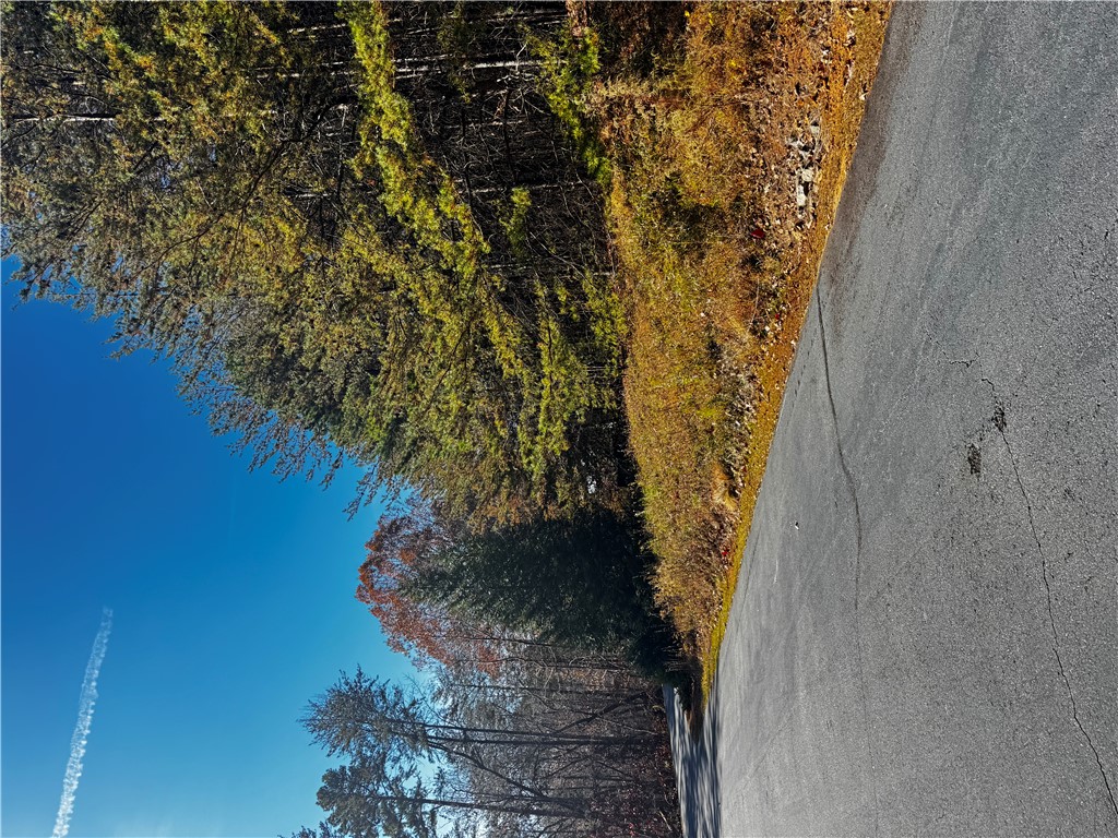 0 Gabriel Way Pickens, SC 29671 - Photo 14 of 14 This serene pathway is embraced by mature trees, creating a peaceful and private setting.