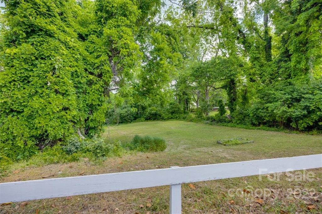 204 West South Street Union, SC 29379 - Photo 36 of 38 a view of a yard with a tree