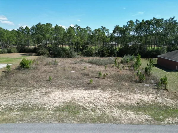 a view of a yard with a tree