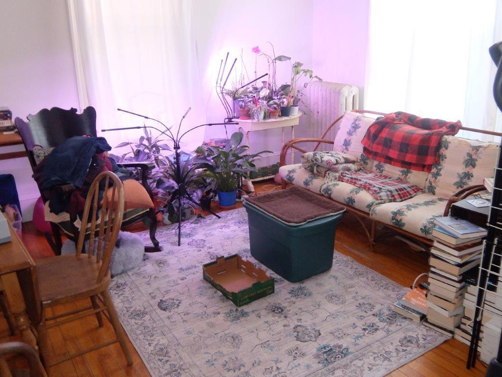 237 High Street Portland, ME 04101 - Photo 7 of 29 DSCF6239