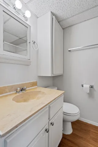 a bathroom with a sink a toilet and a mirror