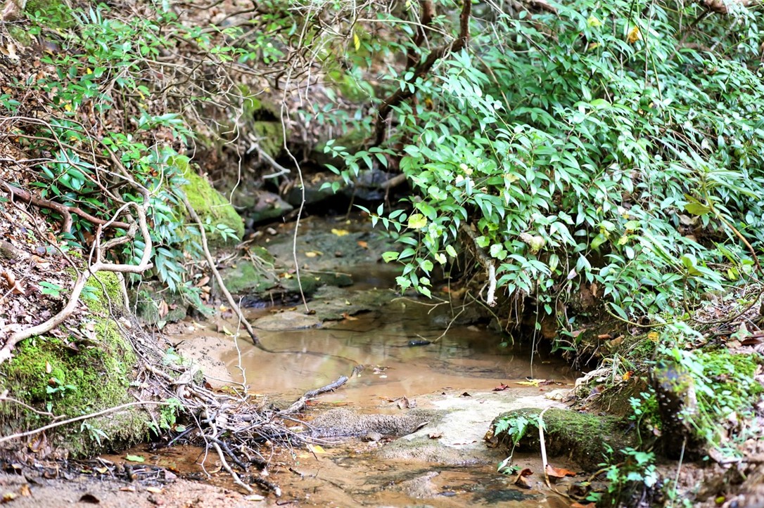 330 Crowe Creek Road Six Mile, SC 29682 - Photo 14 of 35 Gallery Image 14