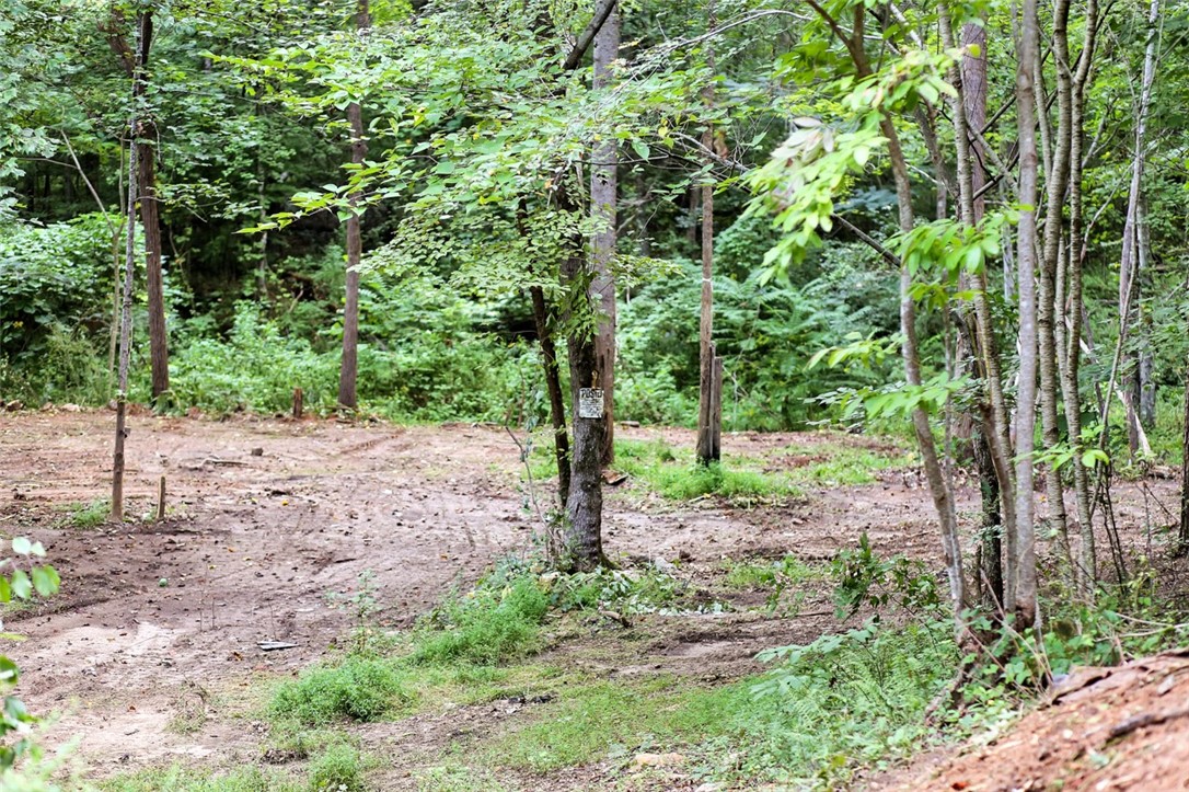 330 Crowe Creek Road Six Mile, SC 29682 - Photo 16 of 35 Gallery Image 16