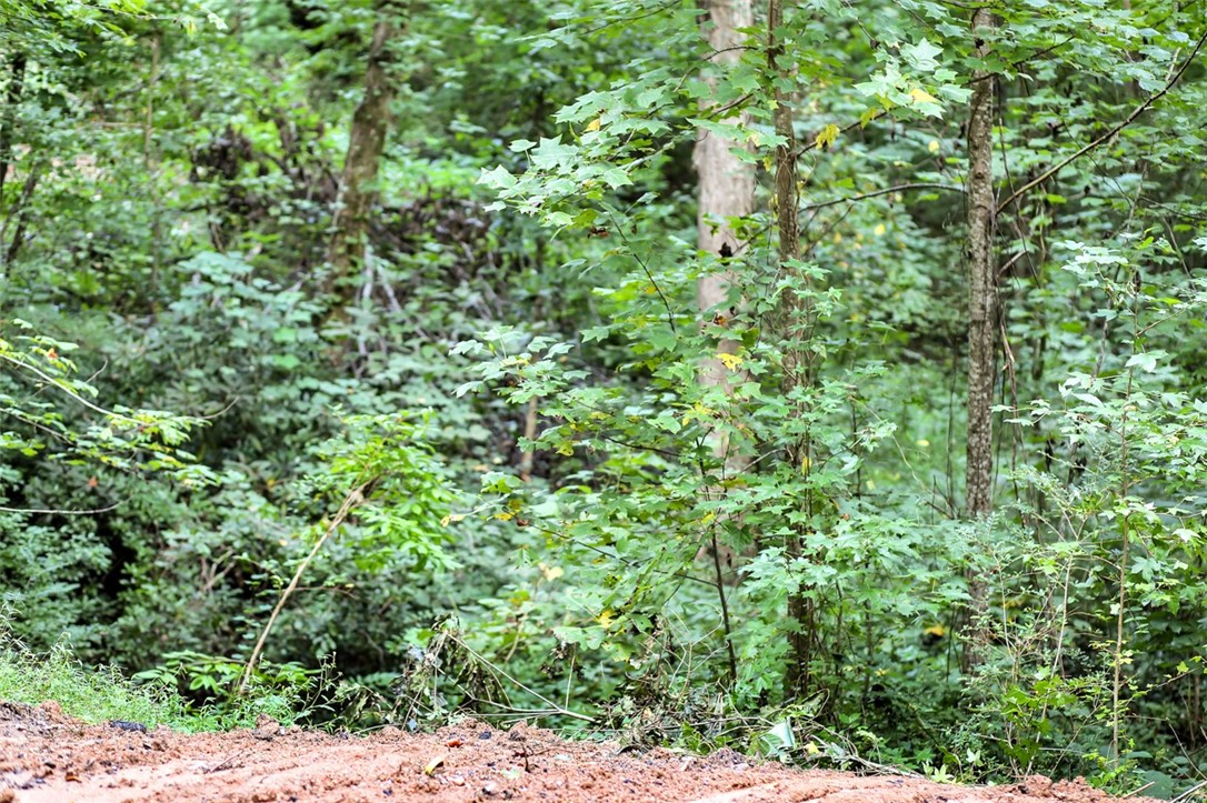 330 Crowe Creek Road Six Mile, SC 29682 - Photo 18 of 35 Gallery Image 18
