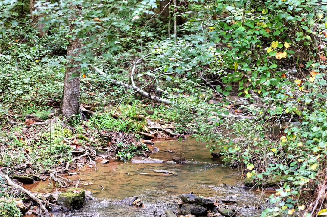 330 Crowe Creek Road Six Mile, SC 29682 - Photo 20 of 35 Gallery Image 20
