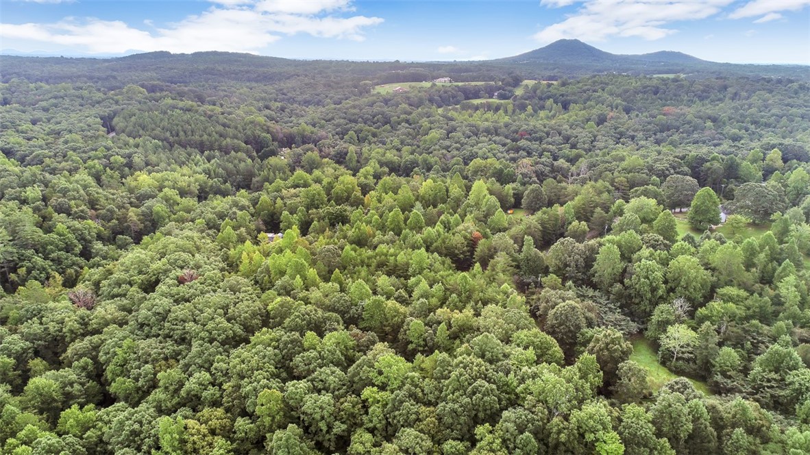 330 Crowe Creek Road Six Mile, SC 29682 - Photo 2 of 35 Gallery Image 2