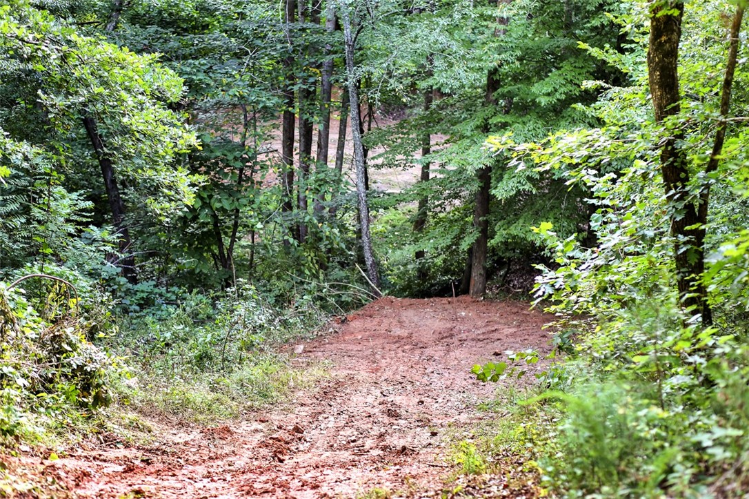 330 Crowe Creek Road Six Mile, SC 29682 - Photo 27 of 35 Gallery Image 27