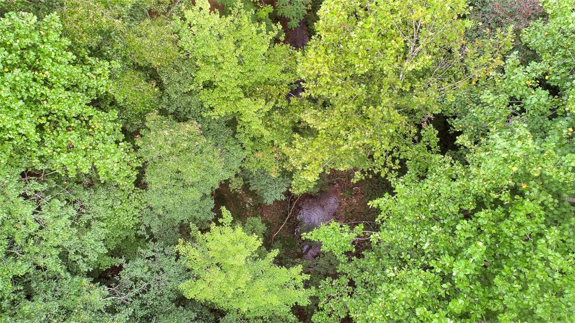 330 Crowe Creek Road Six Mile, SC 29682 - Photo 5 of 35 Gallery Image 5