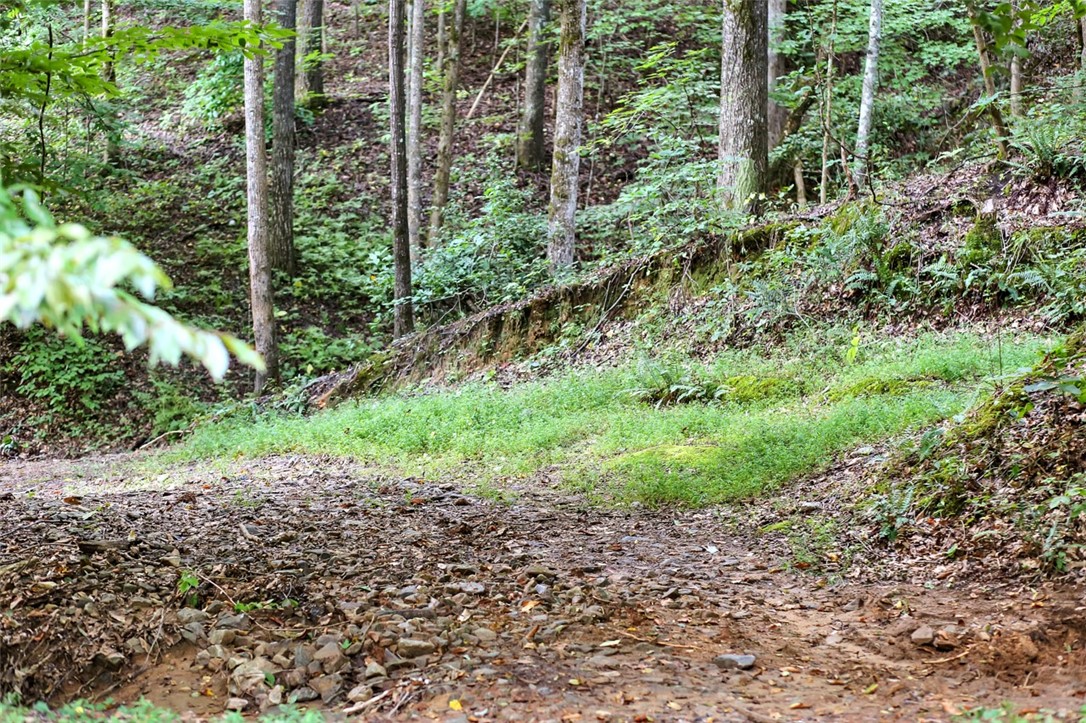 330 Crowe Creek Road Six Mile, SC 29682 - Photo 10 of 35 Gallery Image 10