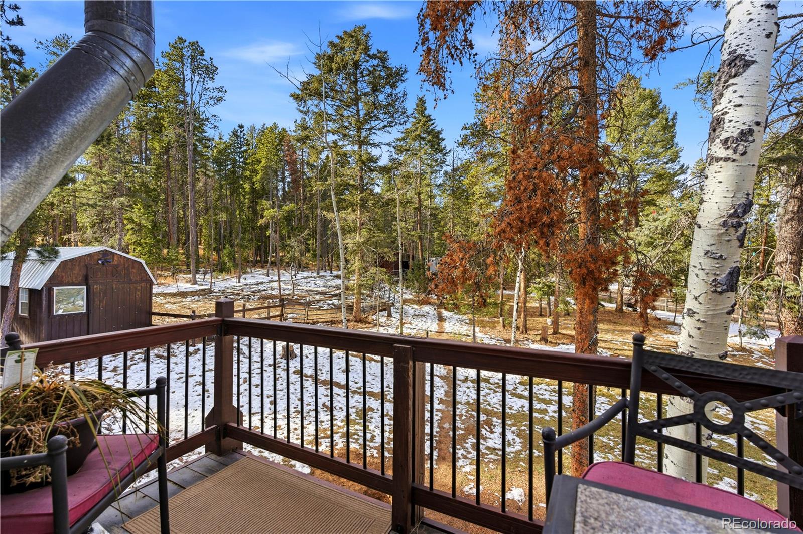 28456 Squirrel Lane Conifer, CO 80433 - Photo 19 of 49