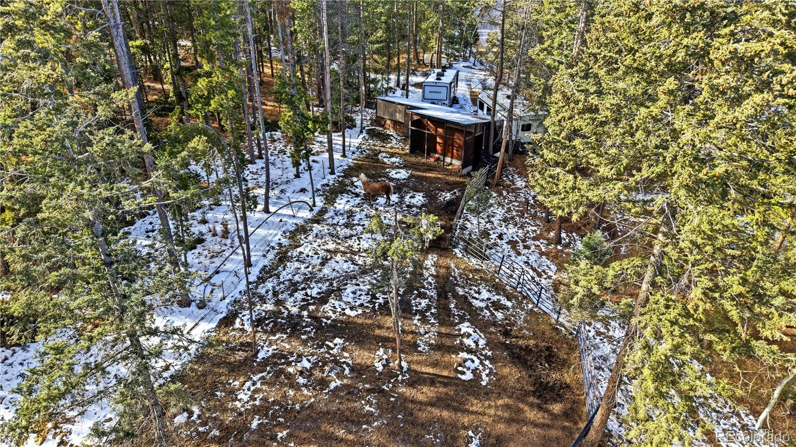 28456 Squirrel Lane Conifer, CO 80433 - Photo 40 of 49