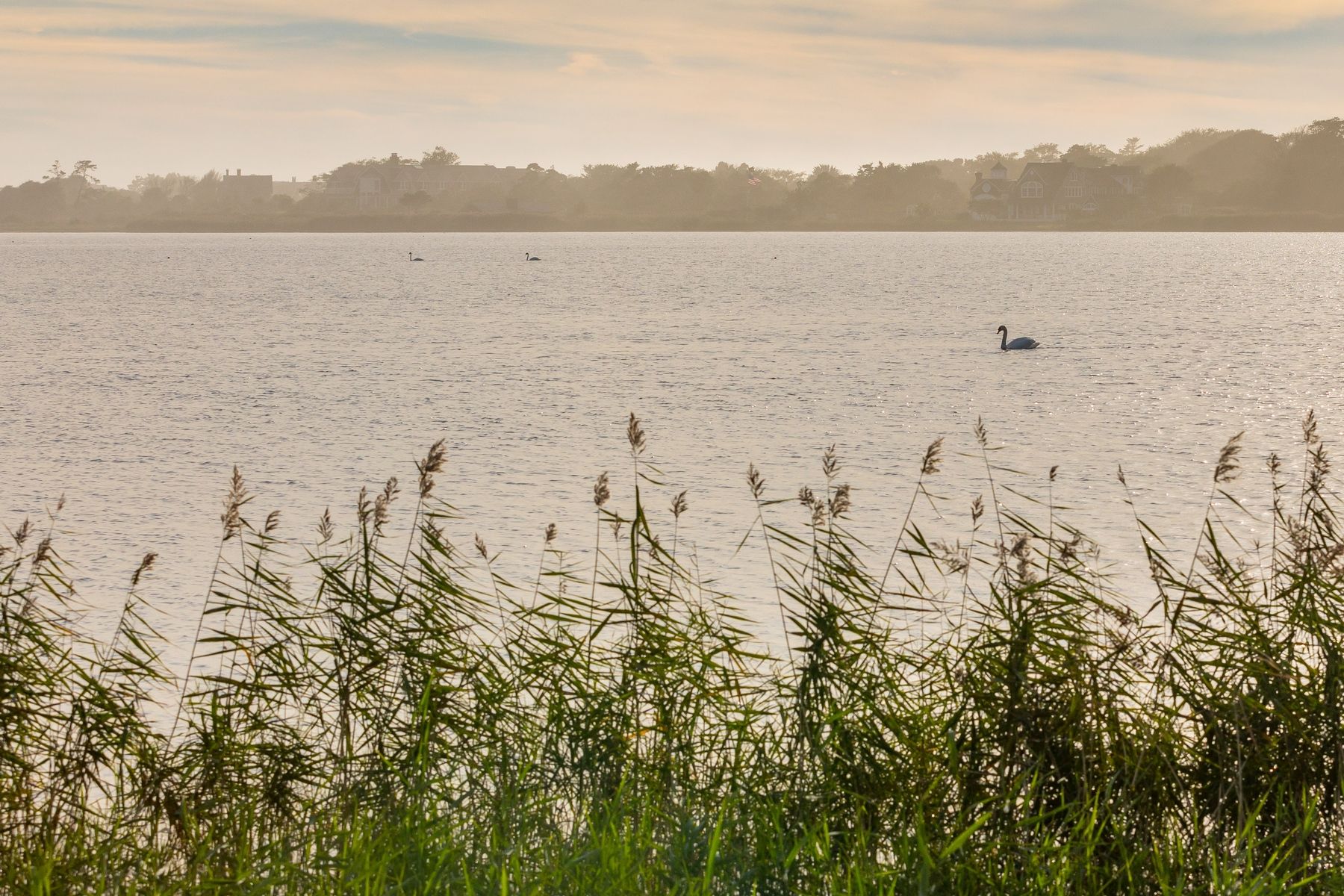 19 Chauncey Close East Hampton, NY 11937 - Photo 22 of 22