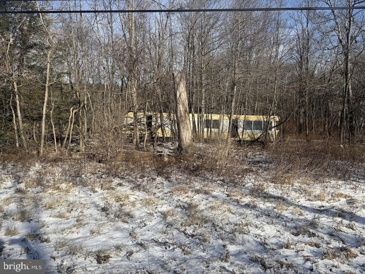 Chestnut Grove Road Swanton, MD 21561 - Photo 4 of 4