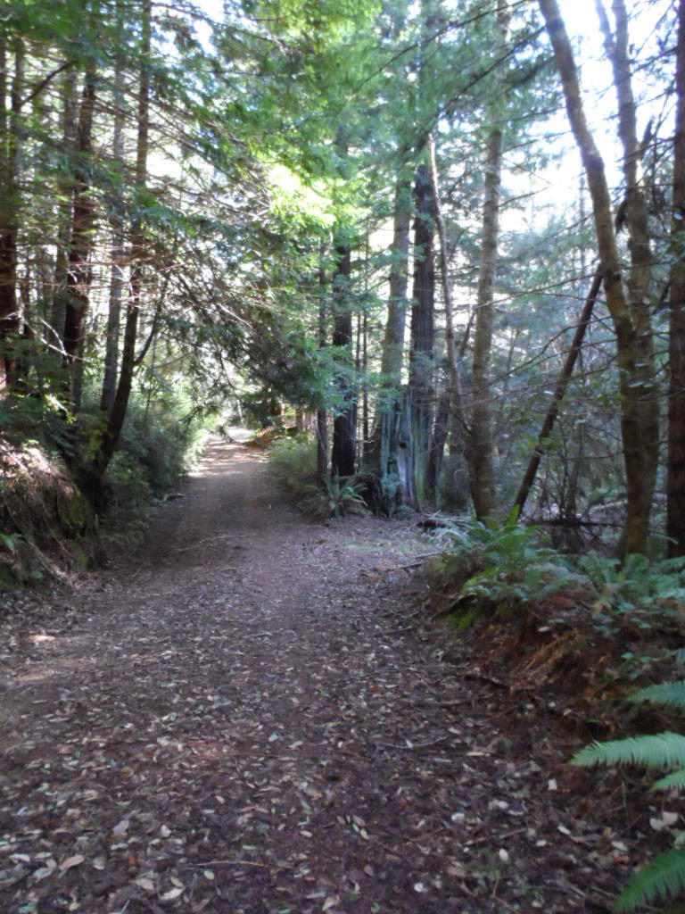 0 Road A Road Whitethorn, CA 95589 - Photo 7 of 8 Gallery Image 7