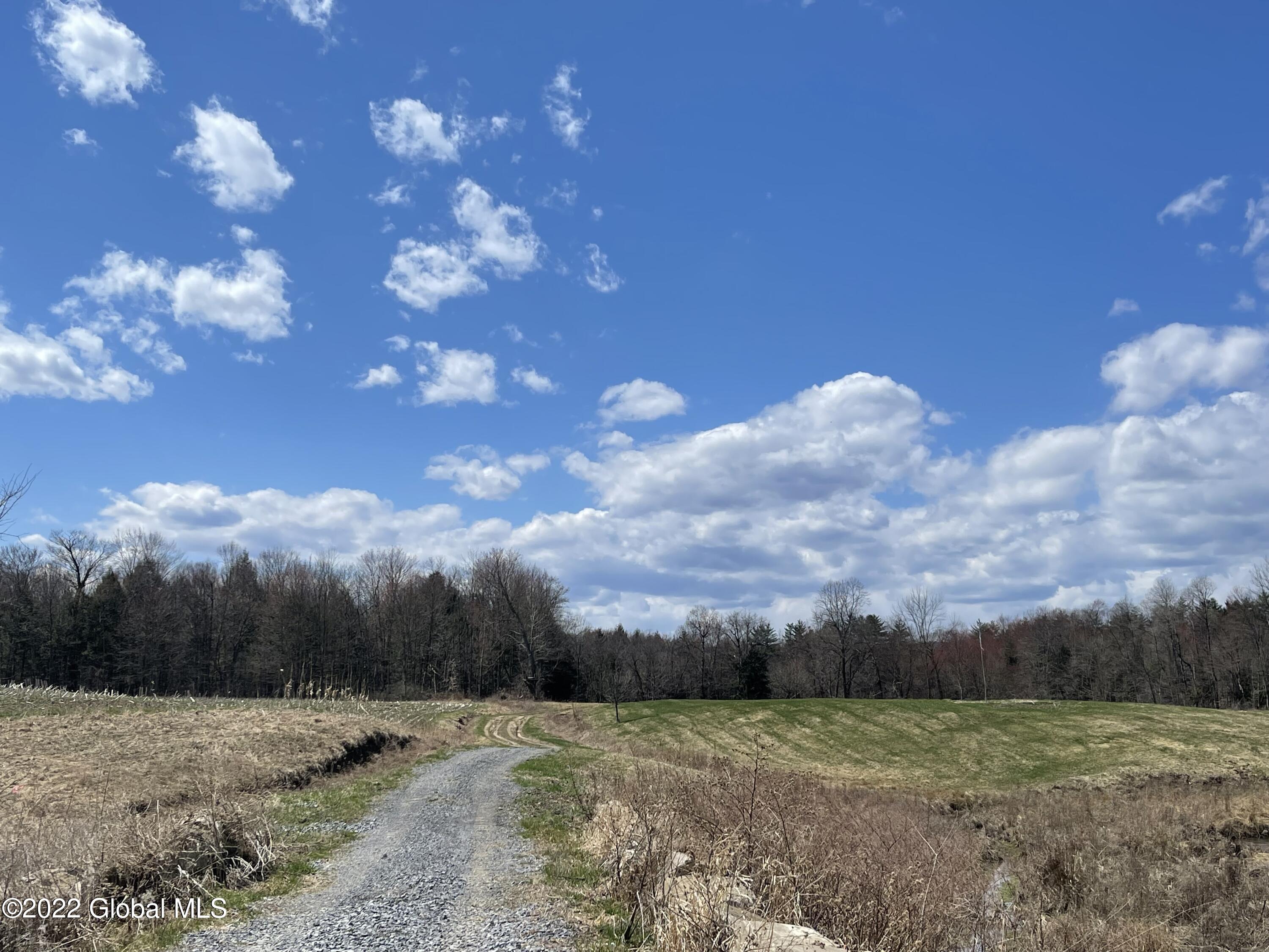 285 Selfridge Road Moreau, NY 12831 - Photo 22 of 25 IMG_8159