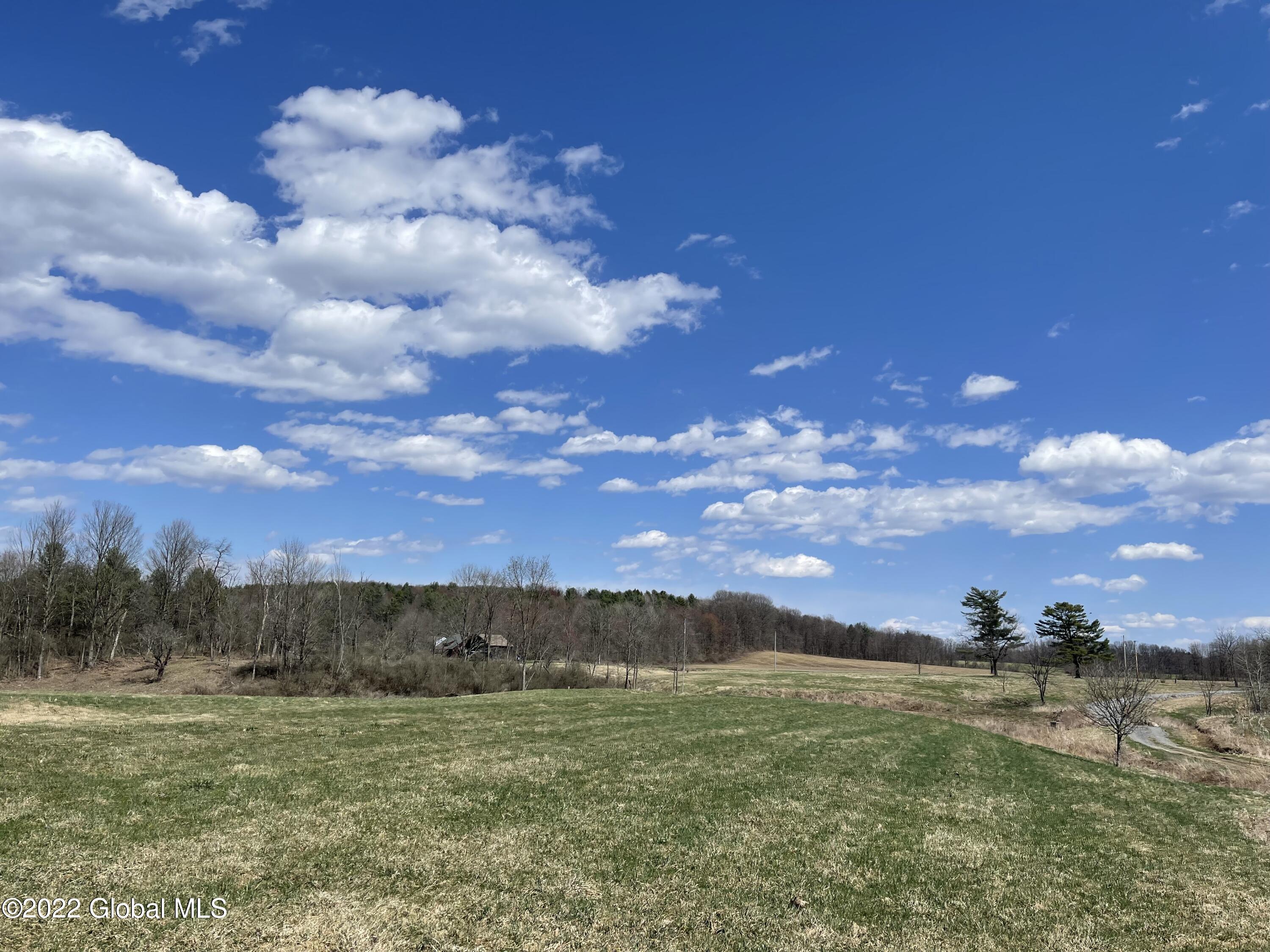 285 Selfridge Road Moreau, NY 12831 - Photo 24 of 25 IMG_8168
