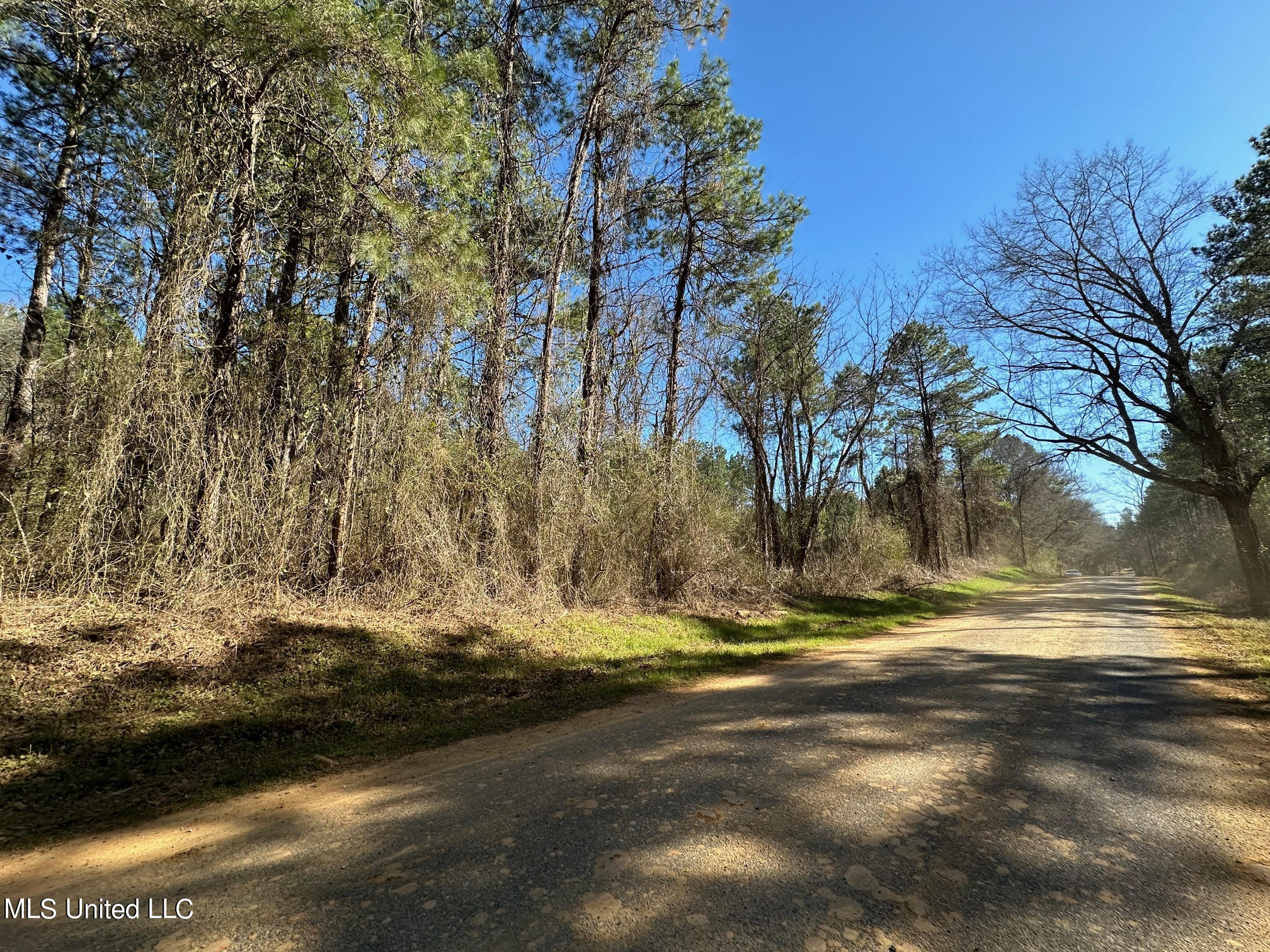 1 Decatur Stratton Road Decatur, MS 39327 - Photo 2 of 6 24
