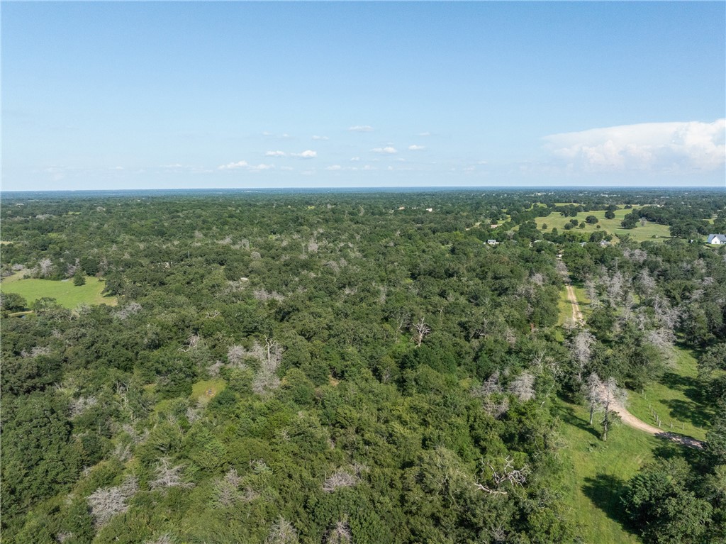 16135 Wilson Pasture Road Bryan, TX 77808 - Photo 23 of 29