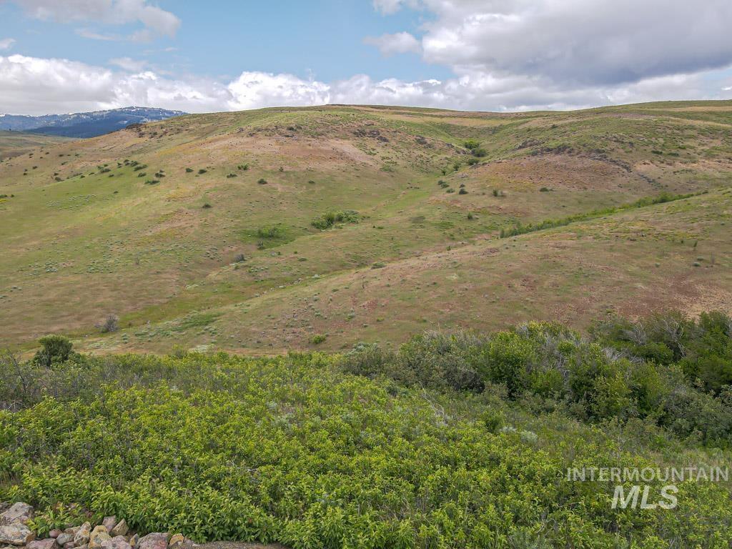 1720 Johnson Creek Road Council, ID 83612 - Photo 12 of 18