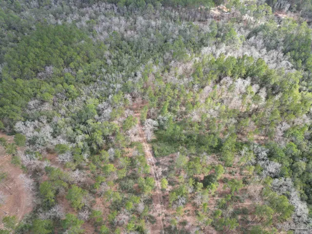 $179,000 | Lot 73 Cascade Drive, Pace, FL 32571