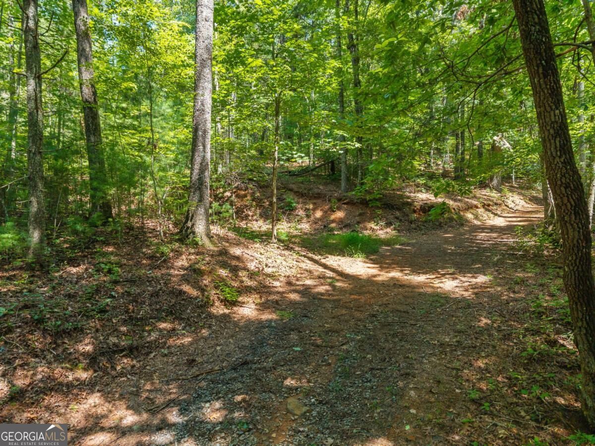 2 A Stevens Ridge Road Ellijay, GA 30540 - Photo 8 of 34 Gallery Image 8