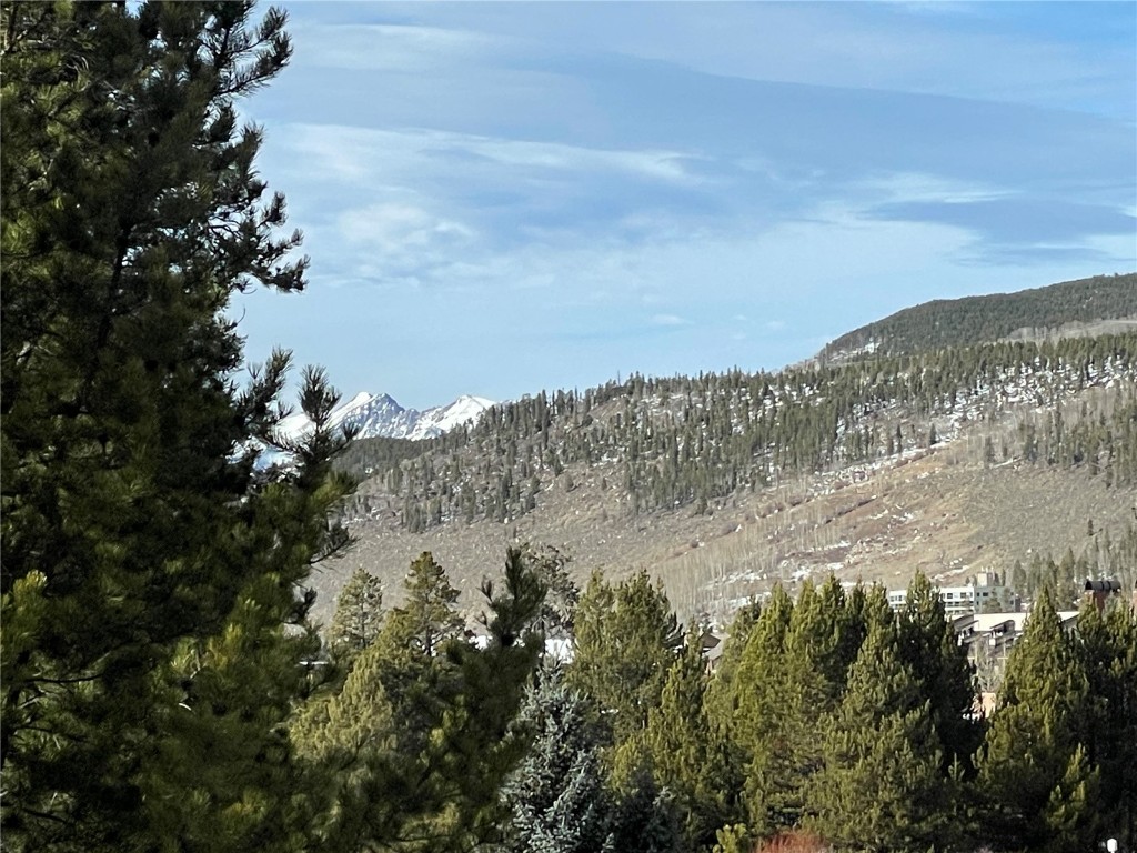 1463 East Keystone Road, Unit 2946 Keystone, CO 80435 - Photo 14 of 27