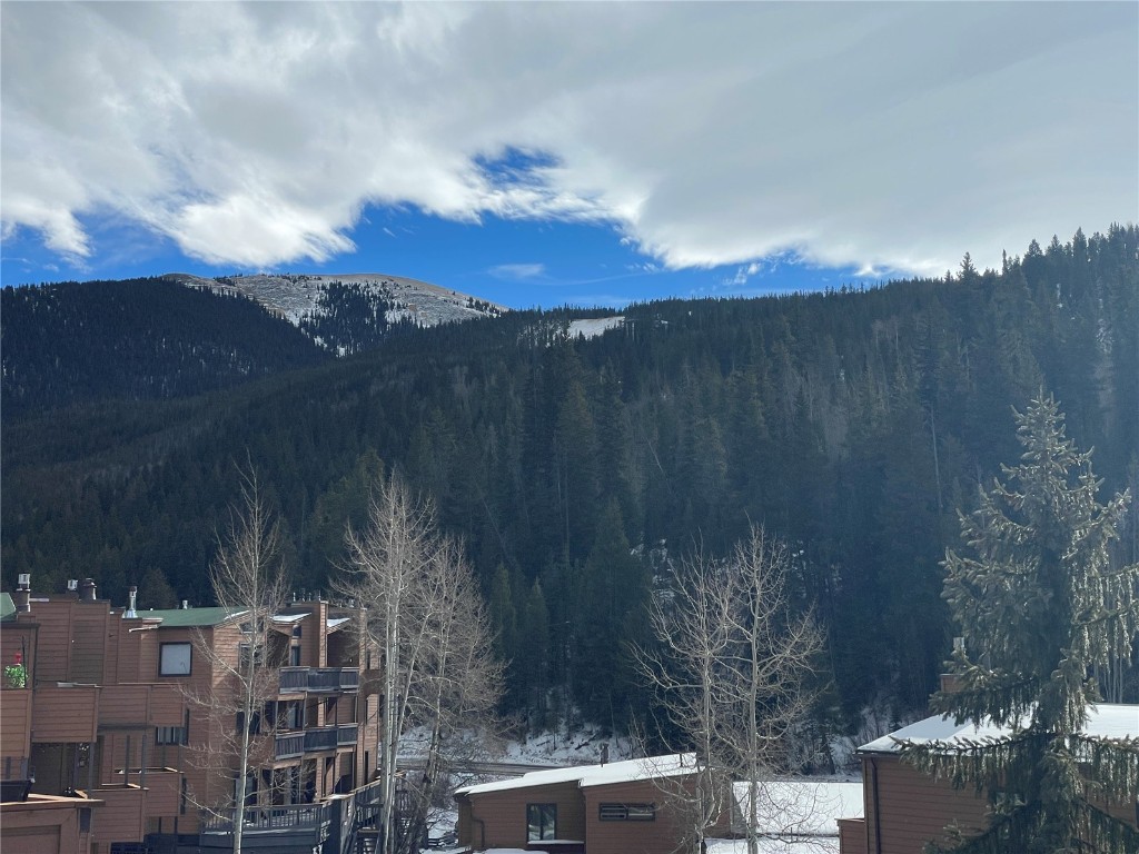 1463 East Keystone Road, Unit 2946 Keystone, CO 80435 - Photo 21 of 27