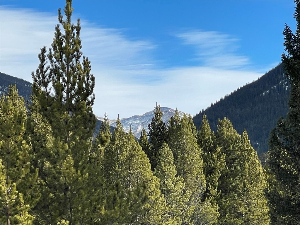 1463 East Keystone Road, Unit 2946 Keystone, CO 80435 - Photo 23 of 27