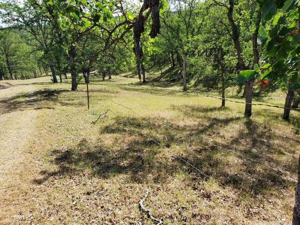 a view of dirt yard with a tree