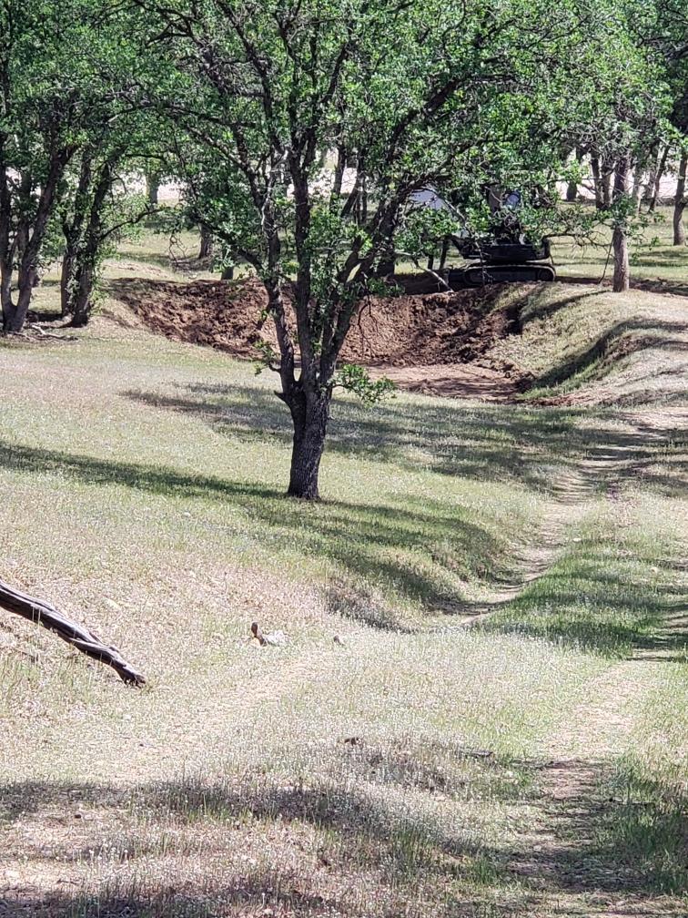 Mccoy Road Red Bluff, CA 96080 - Photo 12 of 13 a view of dirt yard with a tree