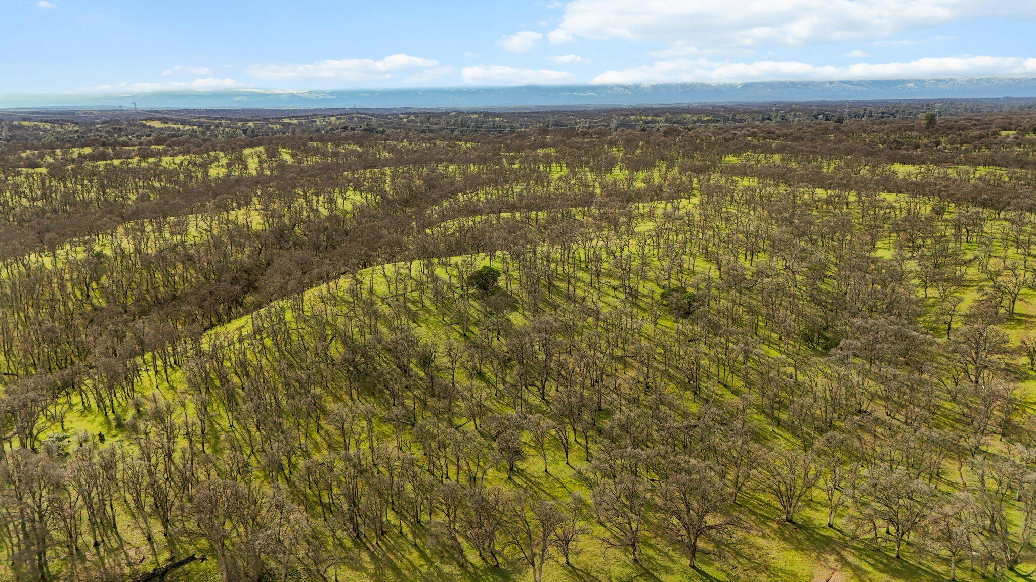 Mccoy Road Red Bluff, CA 96080 - Photo 6 of 13 a view of an ocean