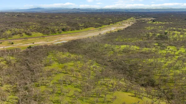 a view of yard with tree