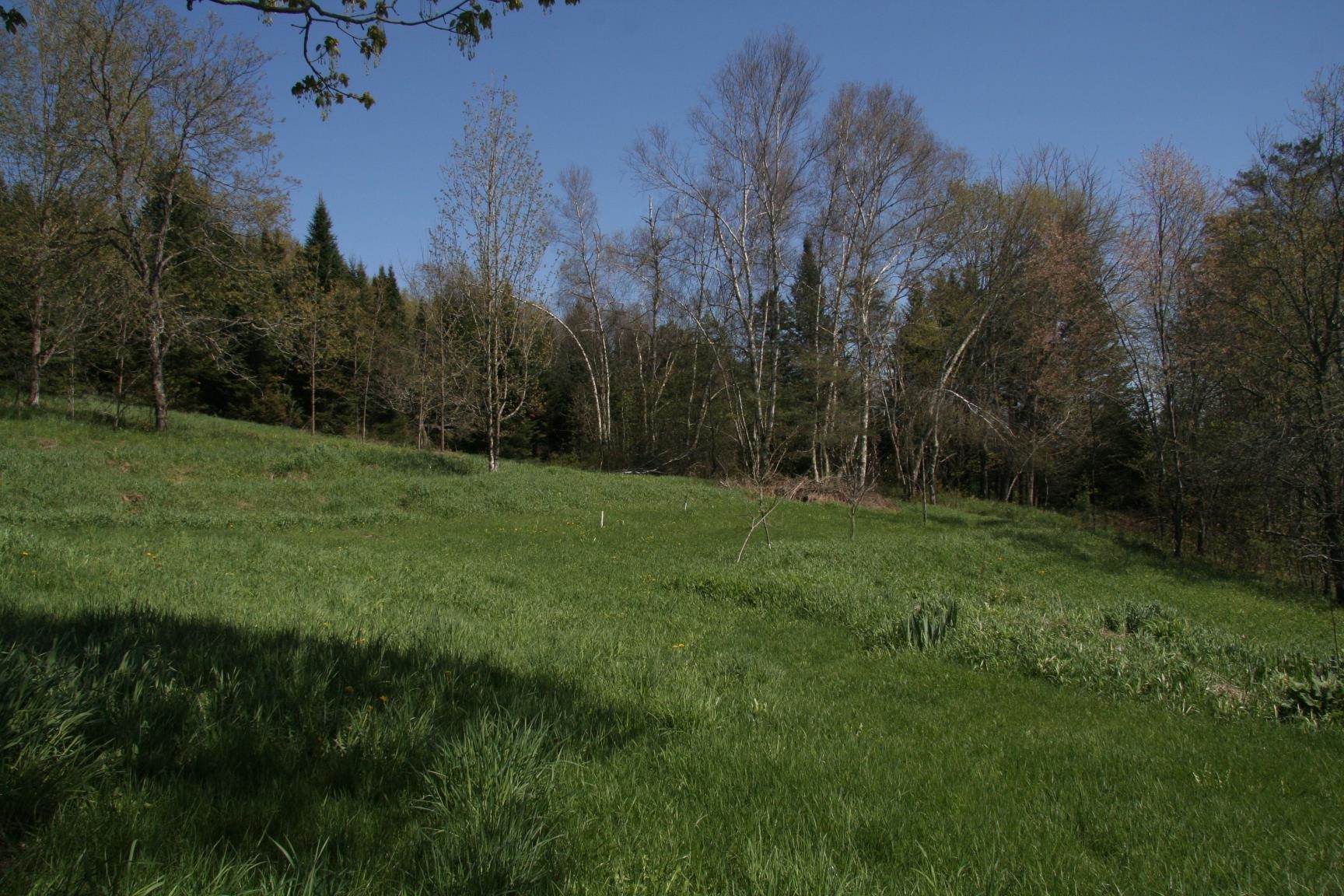 2884 Tampico Road Danville, VT 05828 - Photo 34 of 37 Gallery Image 34