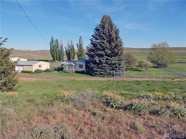 17018 Highway 231 Edwall, WA 99008 - Photo 1 of 17