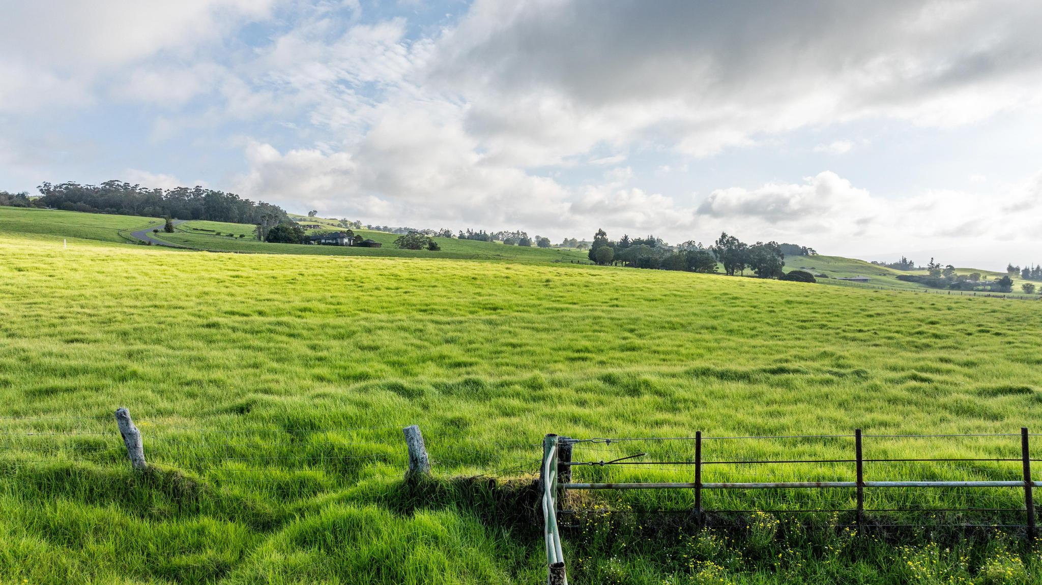 23 Lot 23 Alulike Road Kamuela, HI 96743 - Photo 12 of 20 a view of an ocean from a yard
