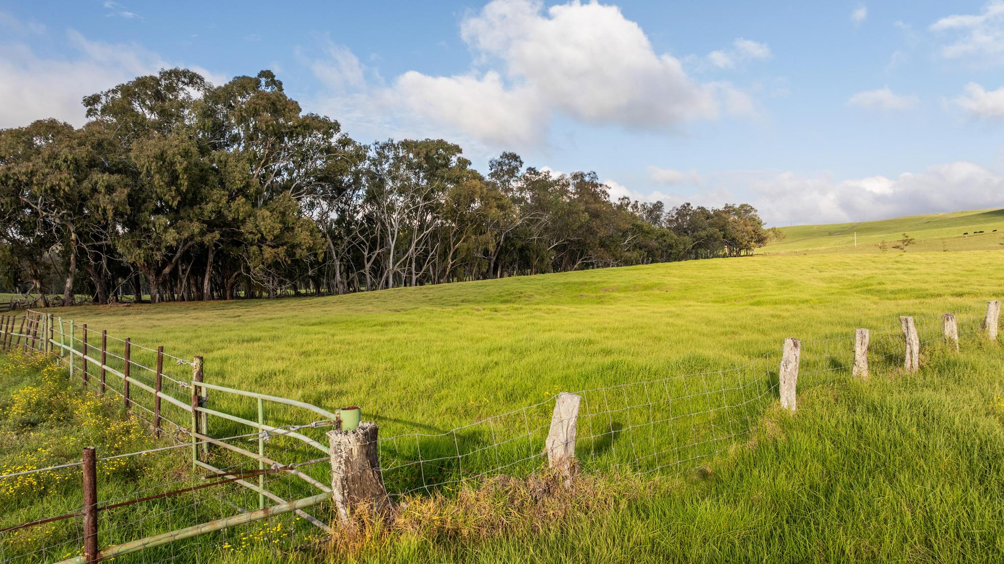 23 Lot 23 Alulike Road Kamuela, HI 96743 - Photo 13 of 20