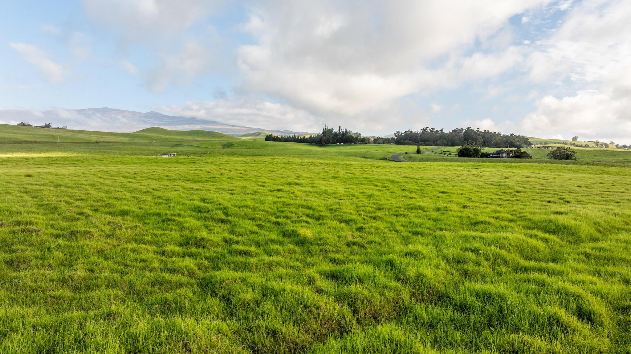 23 Lot 23 Alulike Road Kamuela, HI 96743 - Photo 14 of 20 a view of an ocean