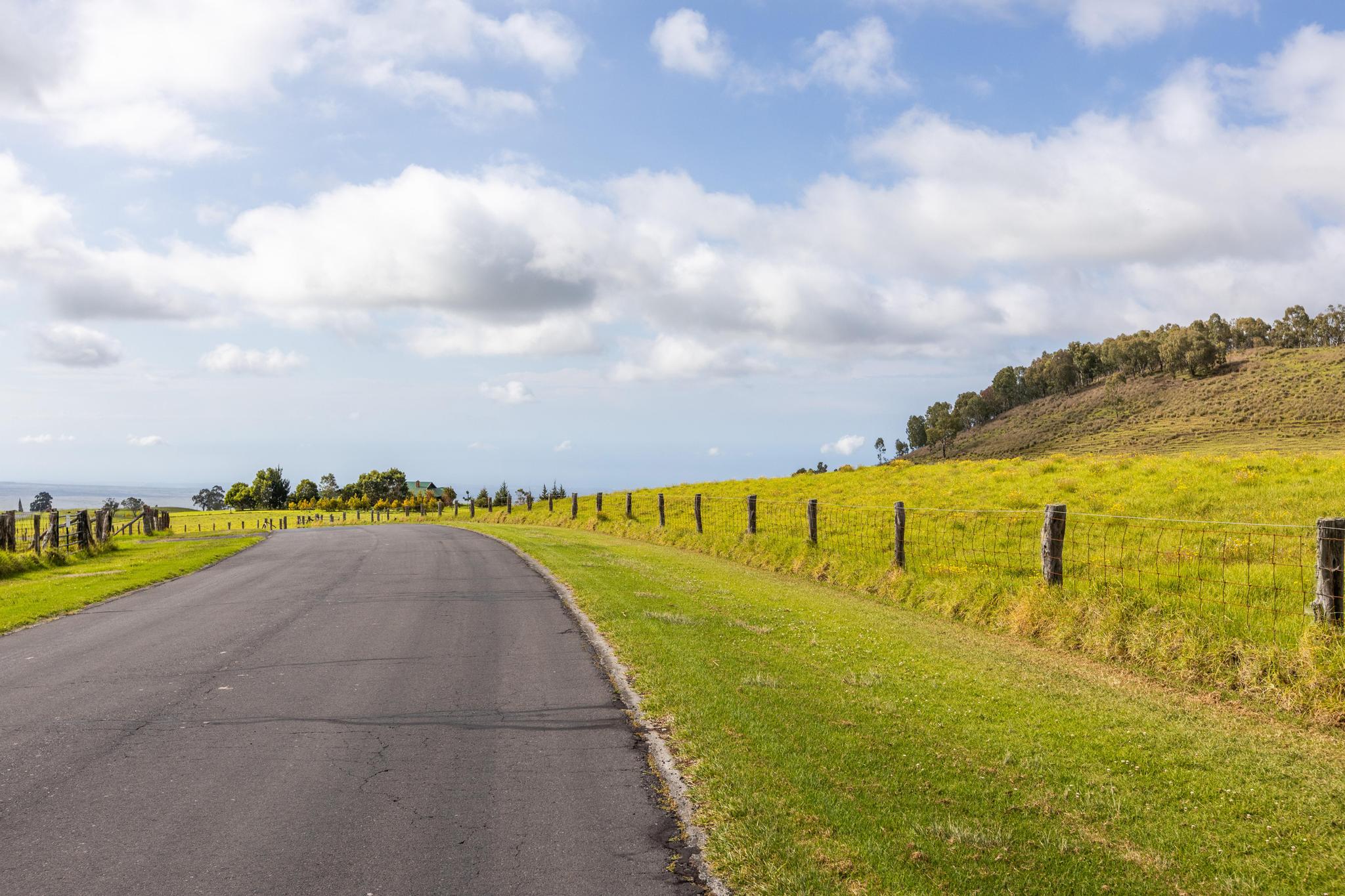 23 Lot 23 Alulike Road Kamuela, HI 96743 - Photo 4 of 20