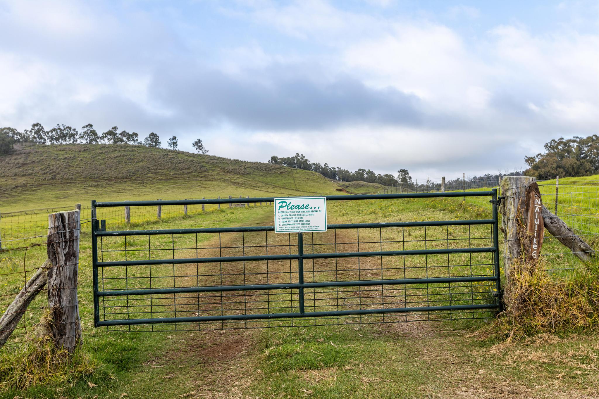 23 Lot 23 Alulike Road Kamuela, HI 96743 - Photo 5 of 20