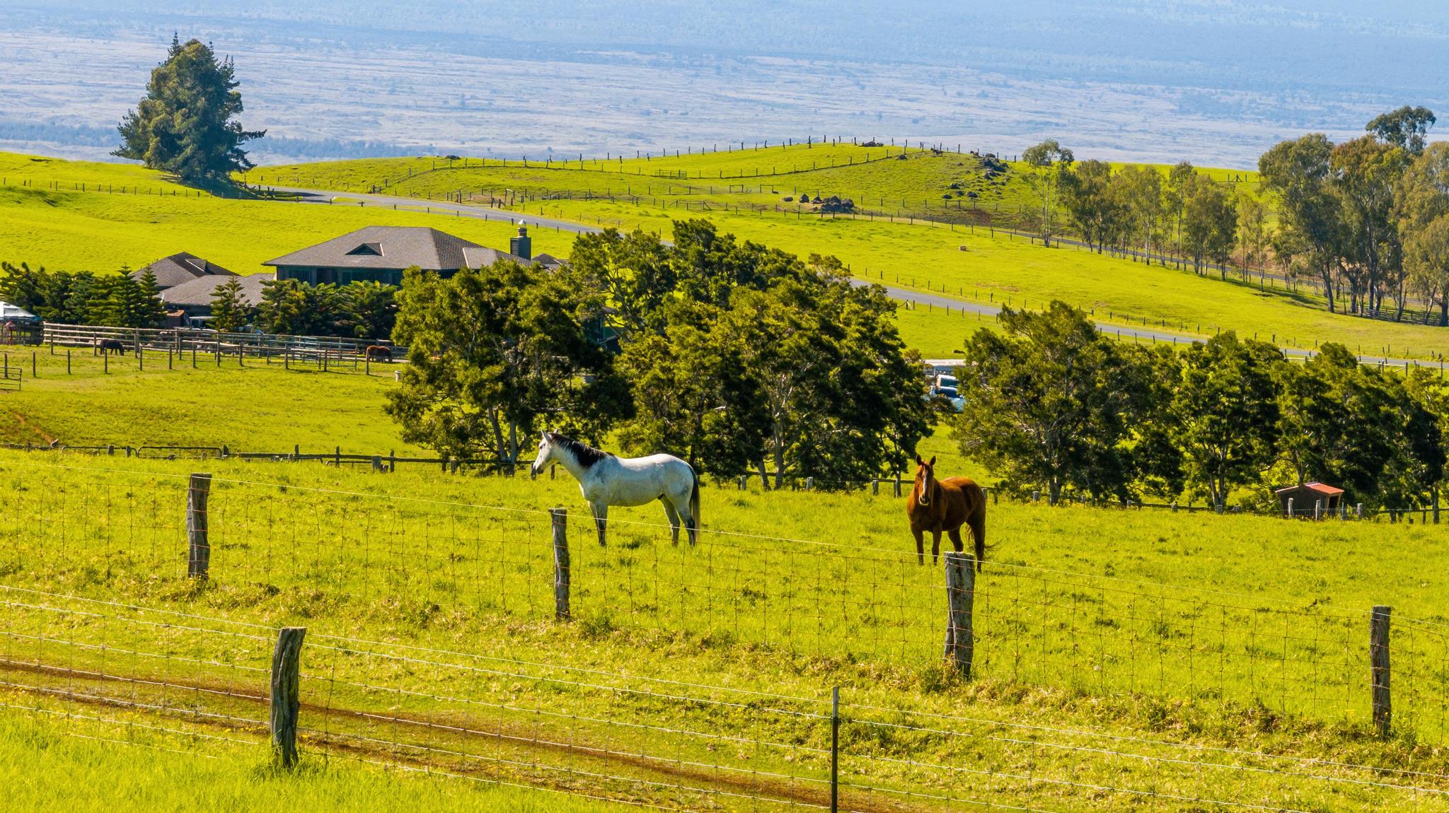 23 Lot 23 Alulike Road Kamuela, HI 96743 - Photo 6 of 20