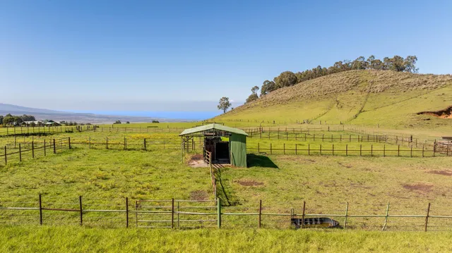 a view of an ocean and beach