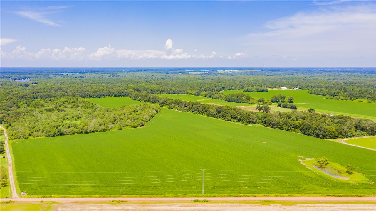 0 East Bay Road Foley, AL 36535 - Photo 3 of 10