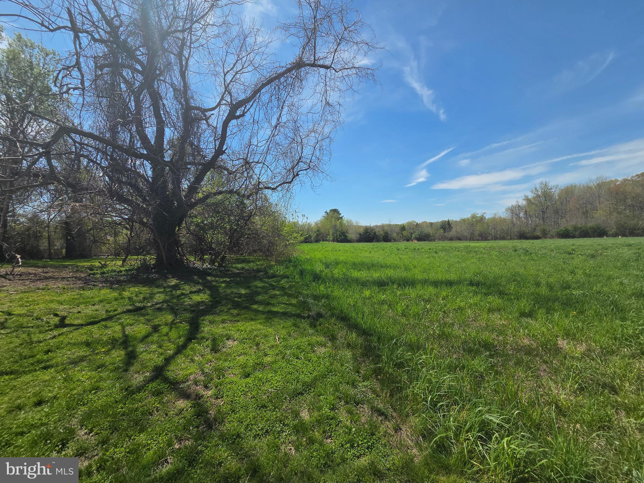 124 Hagersville Road Salem, NJ 08079 - Photo 8 of 25
