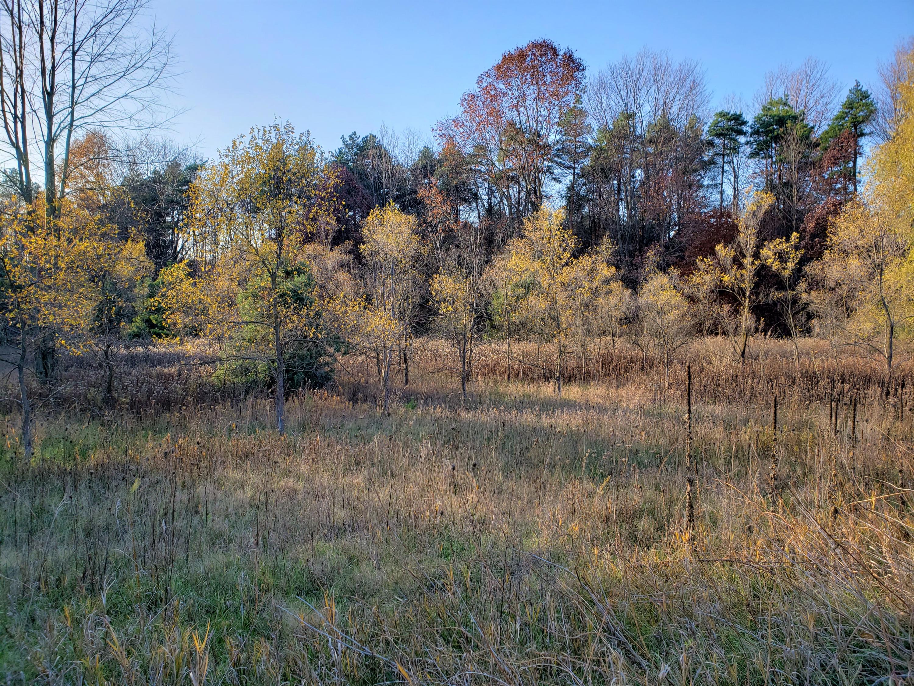 5824 North County Line Road Watervliet, MI 49098 - Photo 12 of 14 N County Line Rd