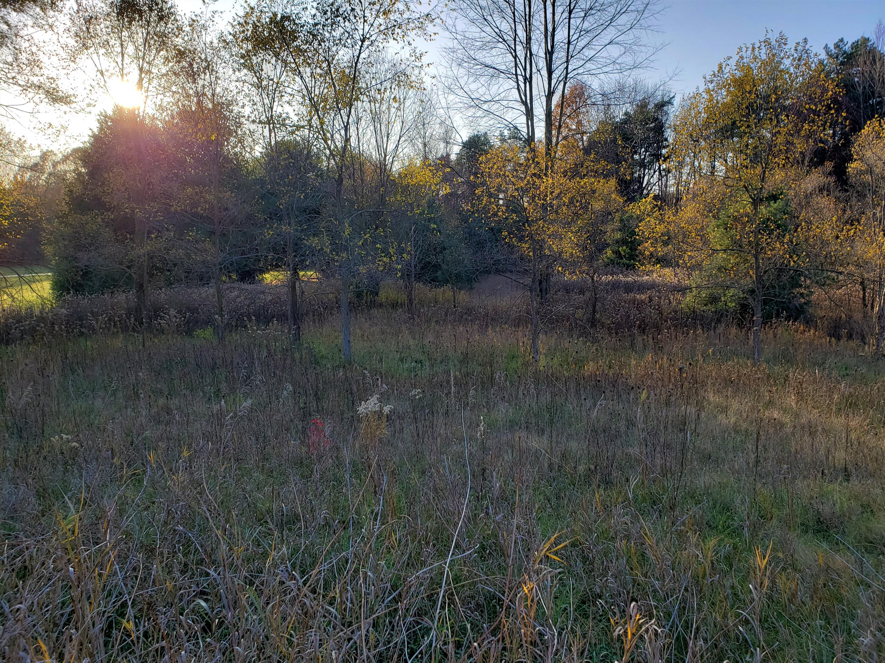 5824 North County Line Road Watervliet, MI 49098 - Photo 13 of 14 N County Line Rd