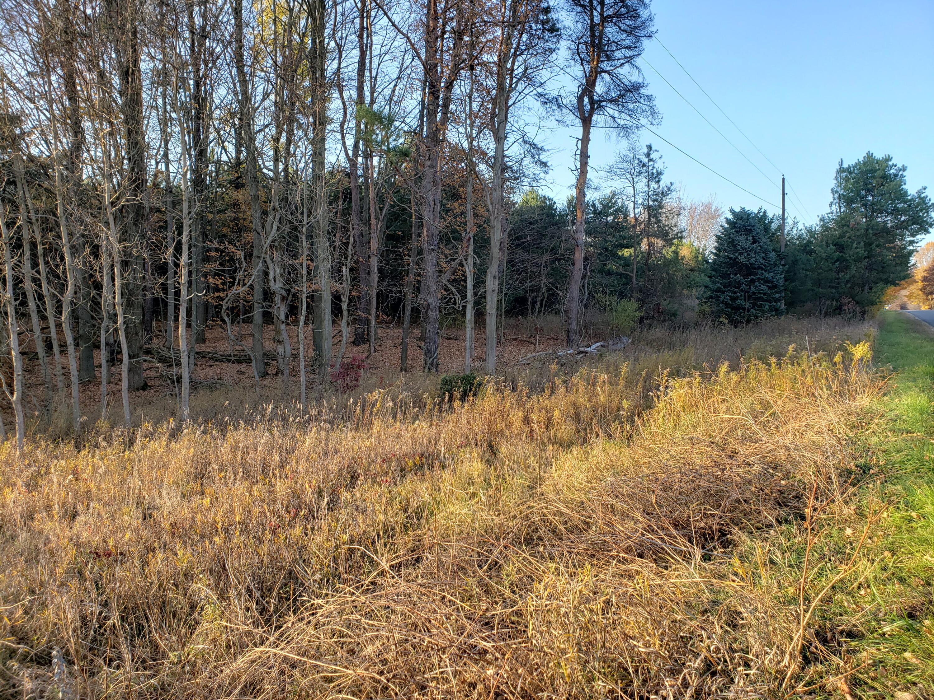 5824 North County Line Road Watervliet, MI 49098 - Photo 10 of 14 N County Line Rd