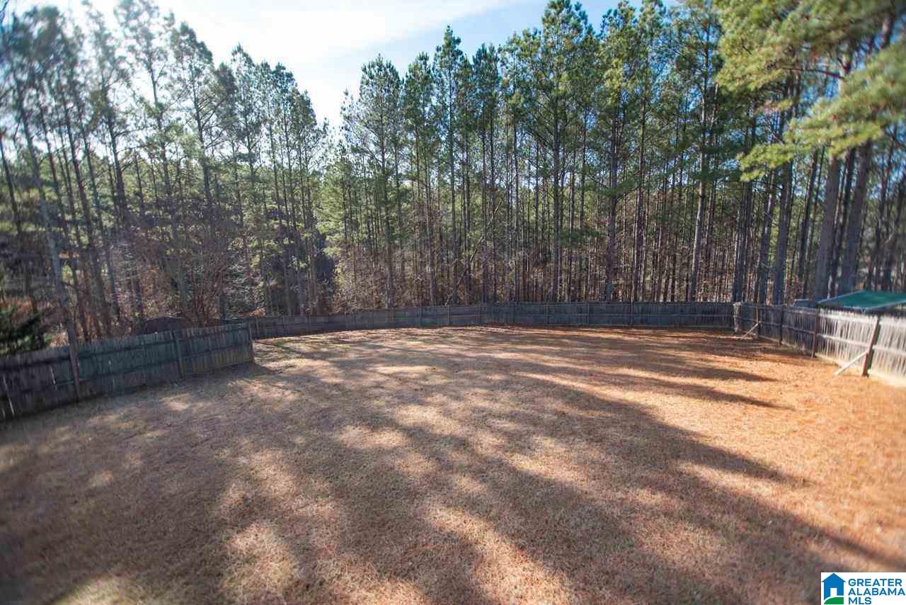 840 Rustling Road Odenville, AL 35120 - Photo 8 of 10