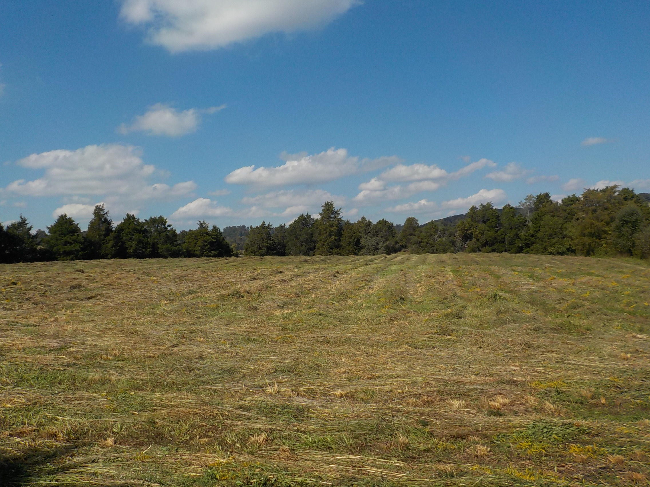 Perrin Hollow Road Blaine, TN 37709 - Photo 1 of 13 004