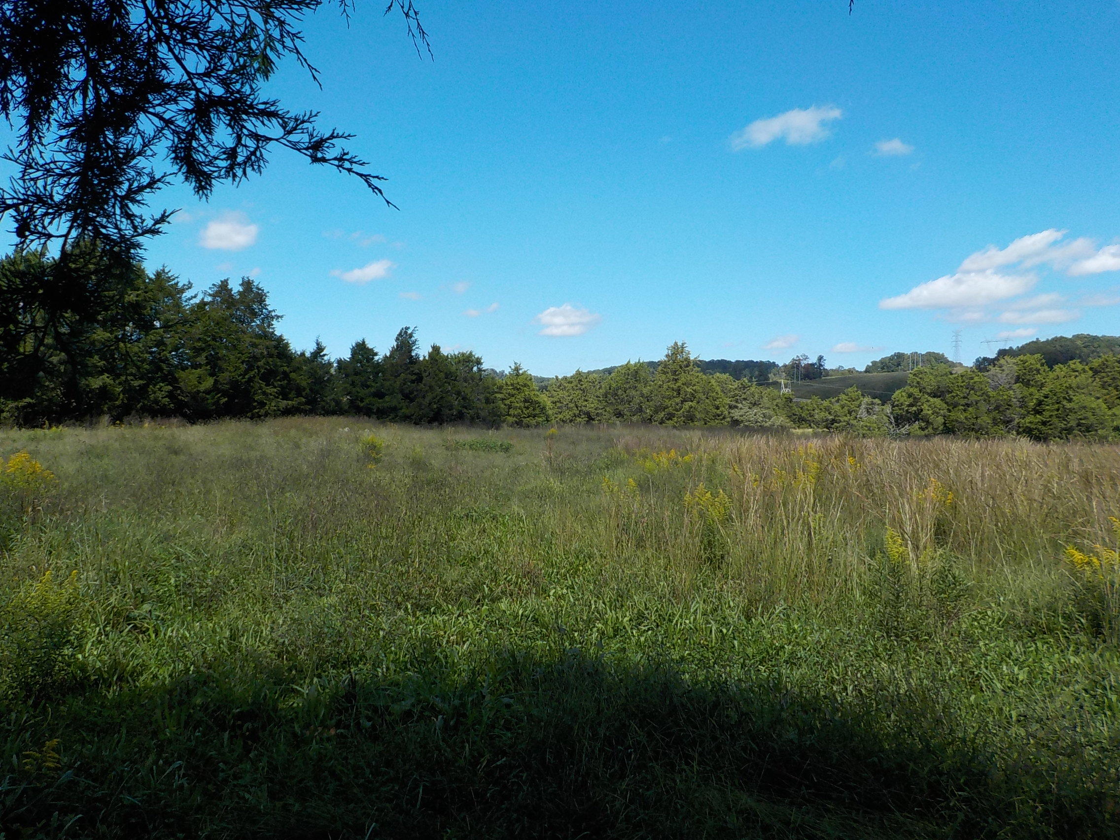 Perrin Hollow Road Blaine, TN 37709 - Photo 3 of 13 005